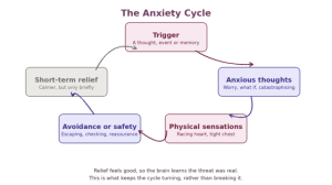 The anxiety cycle diagram showing trigger, anxious thoughts, physical sensations and avoidance; calm illustration of a woman resting by a window, representing relief from anxiety through counselling in Haslemere